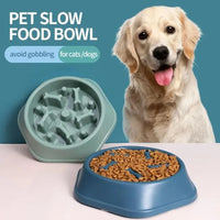 Suction base slow feeder bowl — stays in place during dog feeding