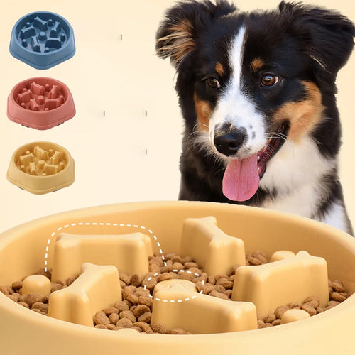 Non-slip slow feeder dog bowl with suction base — anti-bloat design