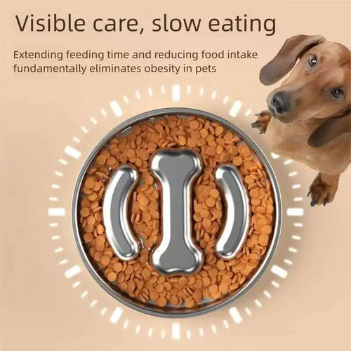 Stainless steel slow feeder dog bowl — hygienic anti-bloat maze design