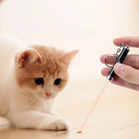 Cat laser pointer toy for interactive exercise and hunt stimulation for indoor cats