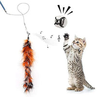 Cat teaser wand — retractable pole with colorful feather