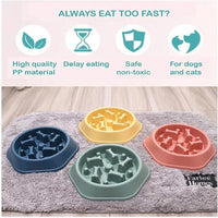 Non-slip dog slow feeder bowl — suction cup base design