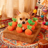 Carrot snuffle mat — interactive foraging enrichment toy for dogs