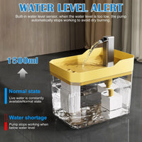 Cat drinking fountain — filtered circulating water for fresh hydration